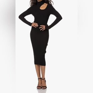 Anine Bing Black Body-con Ribbed Dress